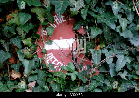 Il francese nessun segno di ingresso coperto di edera rampicante Foto Stock