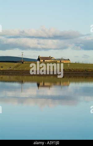 Dh Baia di Firth FIRTH ORKNEY Farm su Holm di Grimbister isola Foto Stock