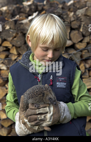 Western riccio, Europeo riccio (Erinaceus europaeus), la ragazza con i guanti e pricky hegehog Foto Stock