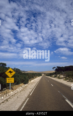 Strada con segno di canguro, Australia, Sud Australia, Kangaroo Island Foto Stock