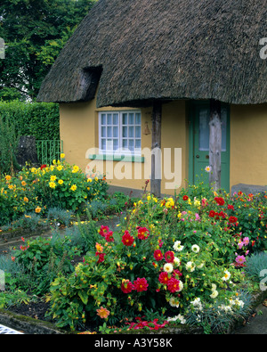 Contea di Limerick Irlanda tetto di paglia cottage con giardini fioriti nel villaggio di Adare Foto Stock