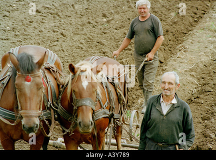 Gli uomini arare un campo in Romania usando un hosre-disegnato aratro. Foto Stock