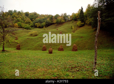 Piccole pile di fieno su terreno coltivato in Transilvania Foto Stock