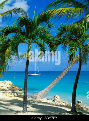 Antigua West Indies palme telaio una vista sulle acque blu della Baia di Dickinson isole dei Caraibi Foto Stock
