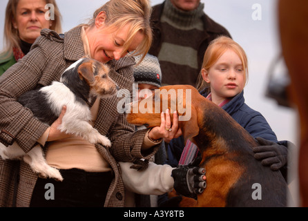 Una donna introduce il suo terrier cane per i segugi del CROOME E WEST WARWICK HUNT Foto Stock