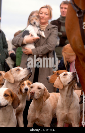 Una donna che tiene i suoi terrier cane sopra i segugi del CROOME E WEST WARWICK HUNT Foto Stock