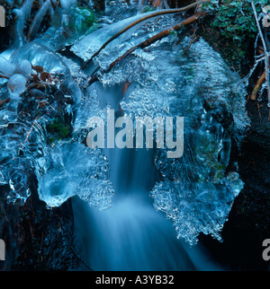 Il ghiaccio è crescente sulle rive di una foresta creek. Foto Stock