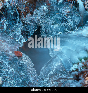Il ghiaccio è crescente sulle rive di una foresta creek. Foto Stock