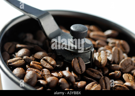 I chicchi di caffè nella vecchia mola Foto Stock