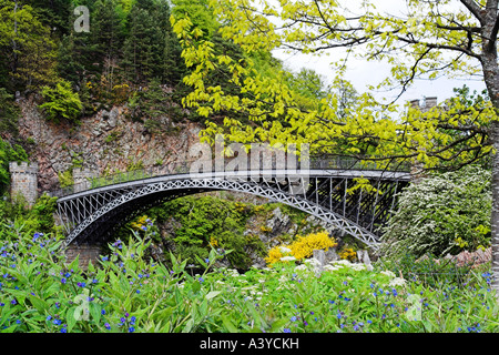 Craigellachie ponte sopra il fiume Spey vicino a Grantown on Spey con ricco autunno verde vegetazione in primo piano. Foto Stock