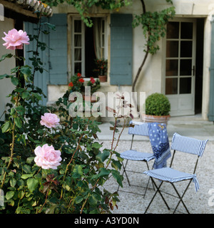 Cortile con le rose e le sedie in una tipica casa provenzale Foto Stock