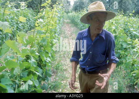 Vigneto l uomo dal Maipu in western Argentina Foto Stock