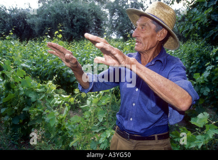 Vigneto l uomo dal Maipu in western Argentina Foto Stock