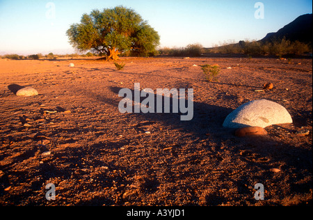 Talampaya canyon al Monte deserto occidentale in Argentina Foto Stock