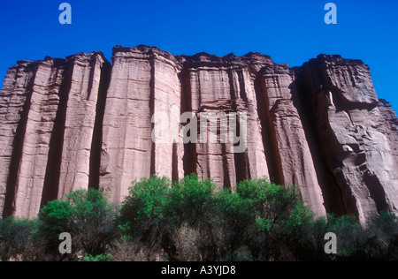 Talampaya canyon al Monte deserto occidentale in Argentina Foto Stock