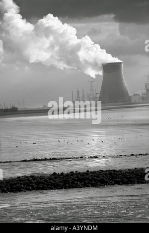 Centrale nucleare di Doel, in Belgio. La Schelde; Schelda; Escaut estuario in primo piano. Cielo drammatico con vapore. Foto Stock