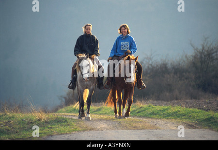 Quarterhorse e berber (Equus przewalskii f. caballus), horsewomen equitazione Foto Stock