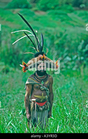 Un Huli wigman Tari Southern Highlands di Papua Nuova Guinea Foto Stock