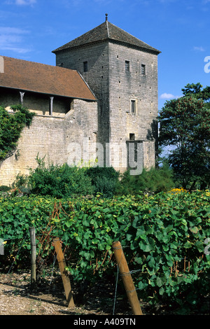Francia Borgogna Gevrey Chambertin-vigneto e il castello di decimo secolo in Europa Foto Stock