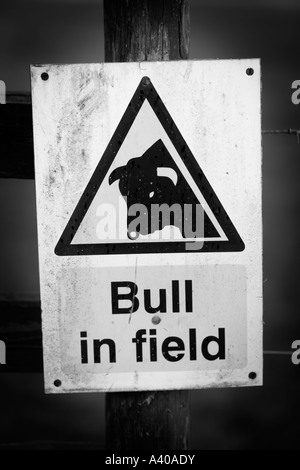 Bull nel campo Segnale di avvertimento, Gloucestershire, Regno Unito Foto Stock