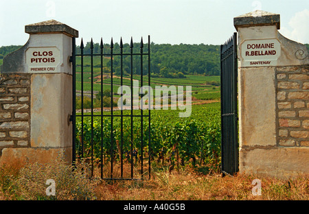 Un cancello di ferro per la vigna Clos Pitois Premier Cru di Domaine Roger Belland in a Santenay, Bourgogne Foto Stock
