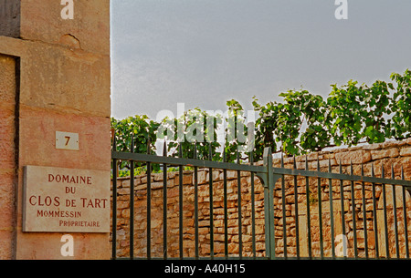 Clos de Tart vigneto e il cancello di ferro in Morey Saint Denis appartenenti a Mommessin, Bourgogne Foto Stock