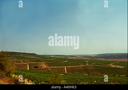 La vista dalla cima di Chablis Grand Cru hill - Ovest, oltre Blanchot e con una vista sulla Montee de Tonnerre premier cru Foto Stock