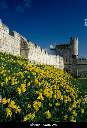 Le mura della città e Walmgate Bar,York,Inghilterra. Foto Stock