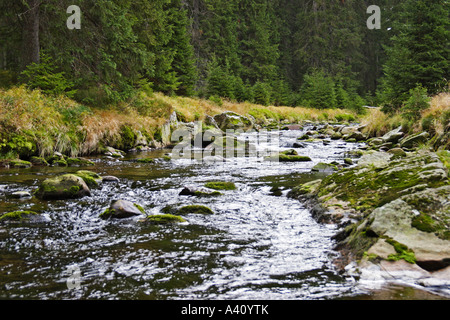 Böhmer Wald, Sumava, Nationalpark, Bavaria Foto Stock