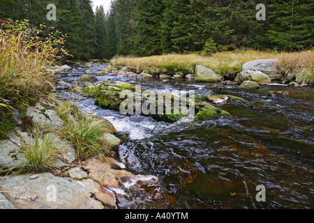 Böhmer Wald, Sumava, Nationalpark, Bavaria Foto Stock