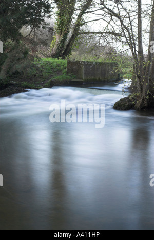 Fiume Wensum Swanton Morley NORFOLK REGNO UNITO Foto Stock