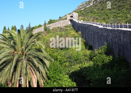 Una fortezza medievale nella città di Ston sulla penisola di Peljesac, Croazia Foto Stock