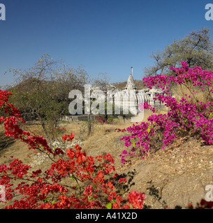 Tempio Jain di Ranakpur in Rajasthan in India del Nord Foto Stock