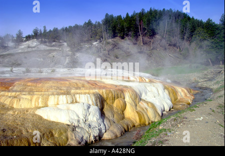 Colorate precipitato minerale presso il Mammoth Hotsprings nel Parco Nazionale di Yellowstone Wyoming USA Foto Stock