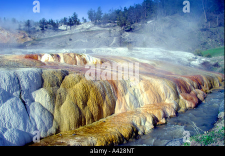 Colorate precipitato minerale presso il Mammoth Hotsprings nel Parco Nazionale di Yellowstone Wyoming USA Foto Stock