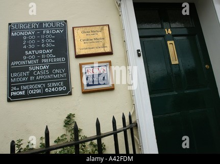 Chepstow Sud Galles GB UK 2007 Foto Stock