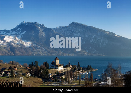 La Svizzera Oberland bernese castello di Spiez il lago di Thun in inverno Foto Stock