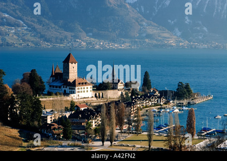 La Svizzera Oberland bernese castello di Spiez il lago di Thun in inverno Foto Stock