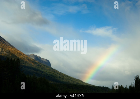 Rainbow e cadere i larici sul versante della montagna, il Parco Nazionale di Banff, Alberta, Canada Foto Stock