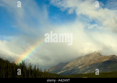 Rainbow e cadere i larici sul versante della montagna, il Parco Nazionale di Banff, Alberta, Canada Foto Stock