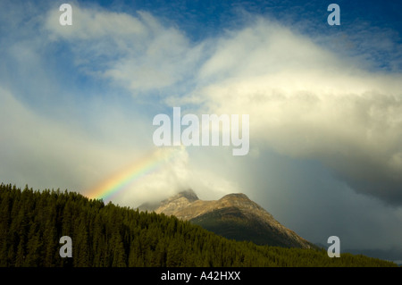 Rainbow e cadere i larici sul versante della montagna, il Parco Nazionale di Banff, Alberta, Canada Foto Stock