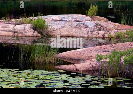 Faro stagno con acqua bianca gigli e red affioramenti granitici, Killarney, Ontario, Canada Foto Stock