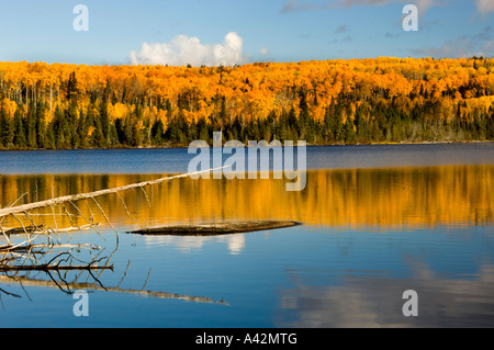 Riflessi di autunno nel lago Dunc, maratona, Ontario, Canada Foto Stock