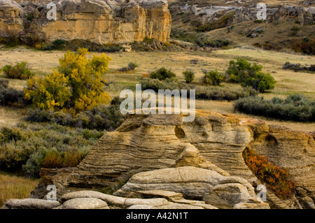 Hoodoos arenaria nel latte River Valley, la scrittura su pietra Parco Provinciale, Alberta, Canada Foto Stock