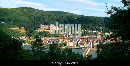 Vista di Heidelberg sul fiume Neckar la città vecchia e il castello di Blick auf Heidelberg und Schloss Foto Stock
