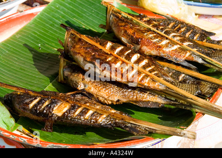 Grigliata di pesce del Mekong su foglie di banano Luang Prabang Laos Foto Stock