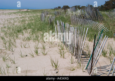 Una griglia di protezione nelle dune di sabbia, Nantucket Island, Massachusetts, STATI UNITI D'AMERICA. Foto Stock