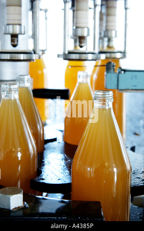 Apple la produzione di bevande in Secondigny Foto Stock