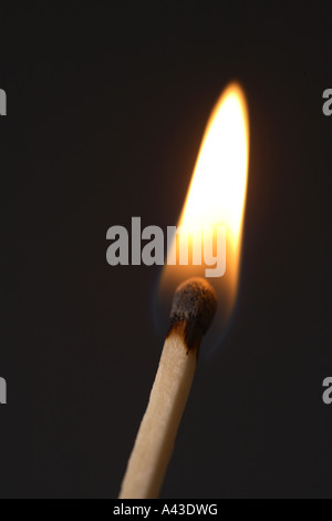 Corrispondenza Burning Foto Stock