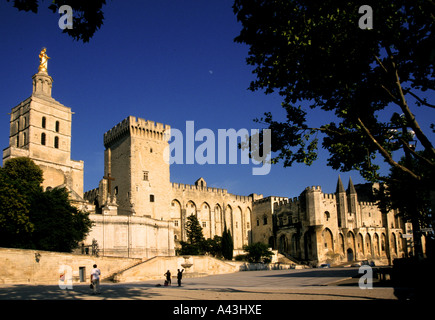 Avignon Palazzo Papale del Palais des Papes francese Francia Provenza Foto Stock